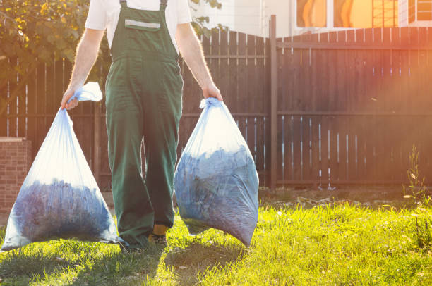 Best Trash Removal Near Me  in West Springfield, VA