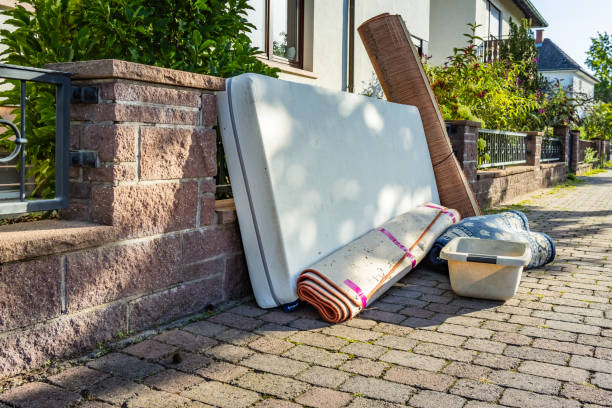 Best Yard Cleanup Services  in West Springfield, VA