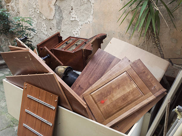 Debris Removal in West Springfield, VA